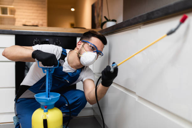 Best Mosquito Control Services  in Crestline, OH