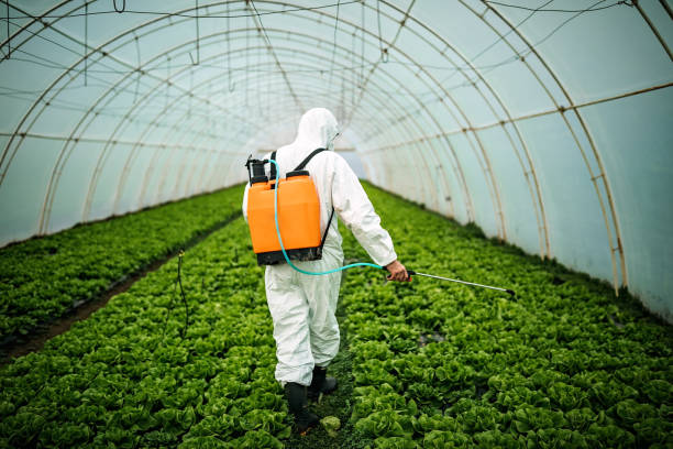 Best Best Pest Control Companies  in Crestline, OH