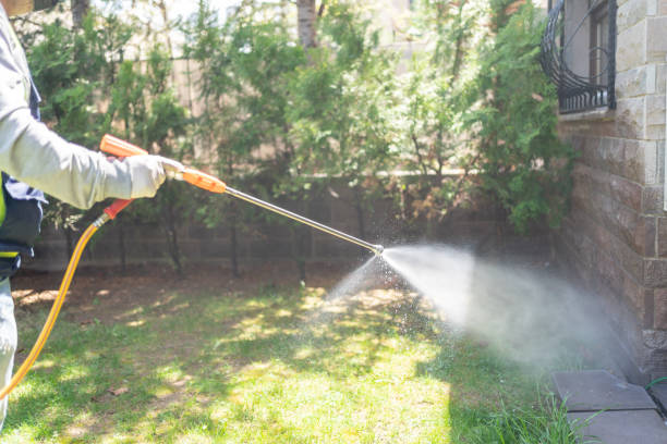 Flea Control Services in Crestline, OH