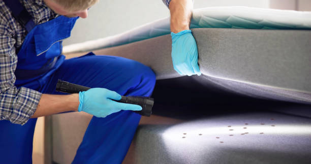 Best Affordable Pest Control Services  in Crestline, OH