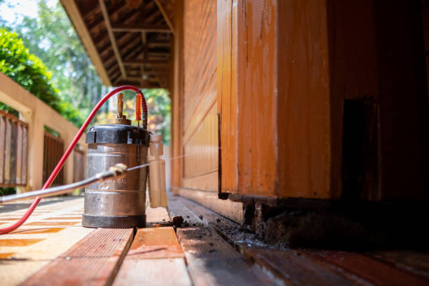 Wasp Removal Services in Crestline, OH