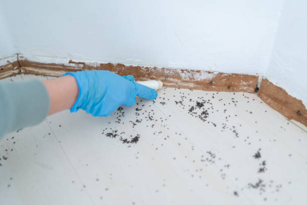 Best Best Pest Control Companies  in Crestline, OH