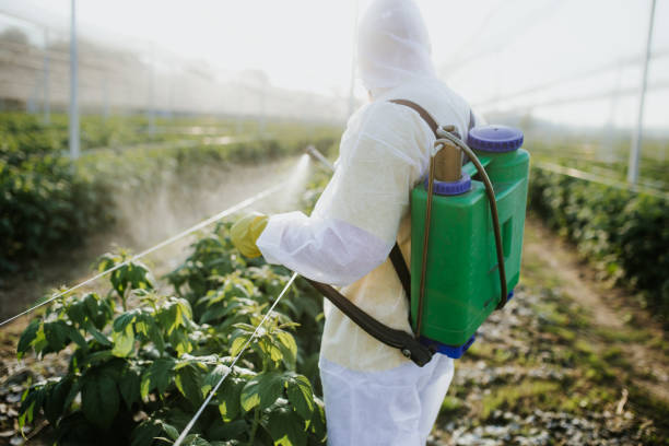 Best Best Pest Control Companies  in Crestline, OH